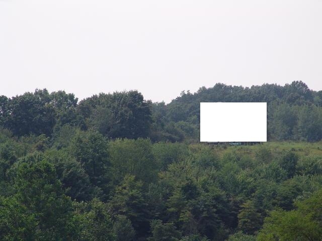 Photo of a billboard in Pleasant City