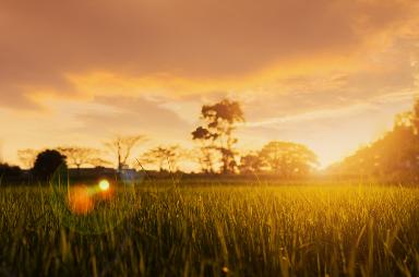 Enid Oklahoma TV ads