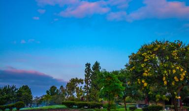 La Mirada California transit ads