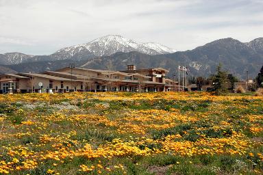 Yucaipa California movie theater ads