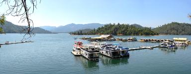 Redding California bus ads