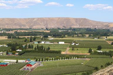 Yakima Washington transit ads