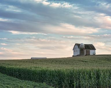 Coon Rapids Minnesota TV ads