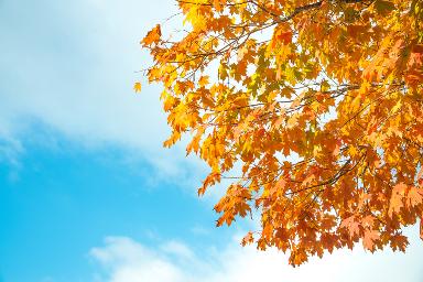 Johns Creek Georgia TV ads