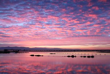 Menlo Park California TV ads