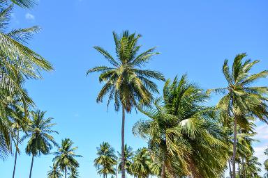 Plantation Florida transit ads