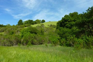 San Leandro California transit ads