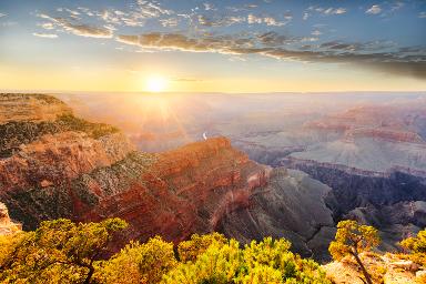 Upland California transit ads