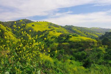 Whittier California movie theater ads
