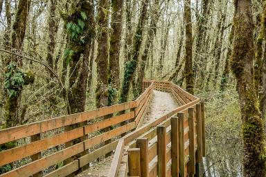 Corvallis Oregon taxi ads