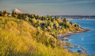 Shoreline Washington taxi ads