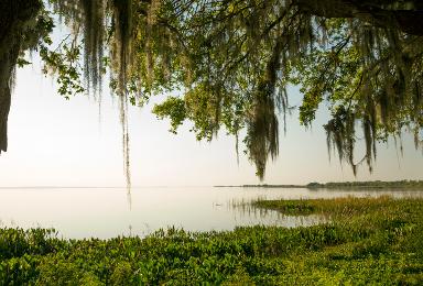 Apopka Florida movie theater ads