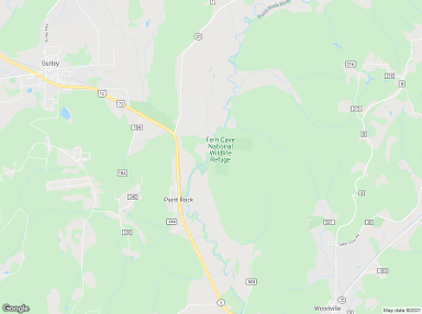 Paint Rock 35764 billboards