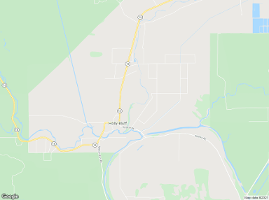 Holly Bluff 39088 billboards