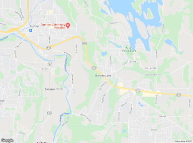 Sumner 98390 billboards