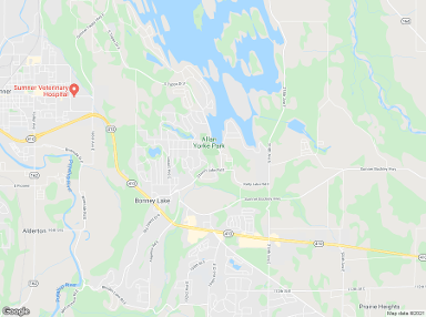 Bonney Lake 98391 billboards