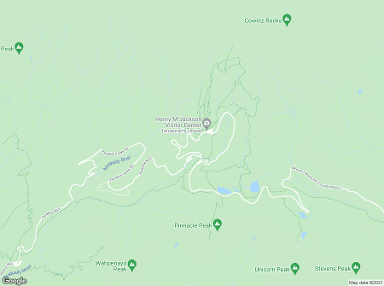 Paradise 98398 billboards