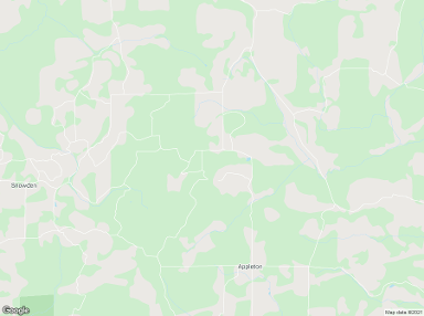 Appleton 98602 billboards