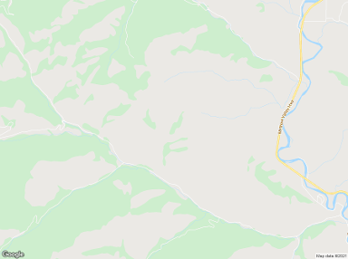 Carlton 98814 billboards