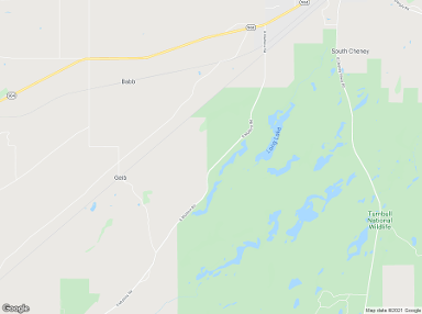 Cheney 99004 billboards