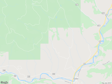 Curlew 99118 billboards