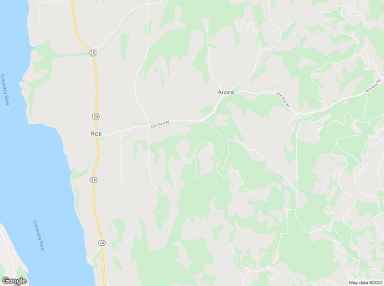 Rice 99167 billboards